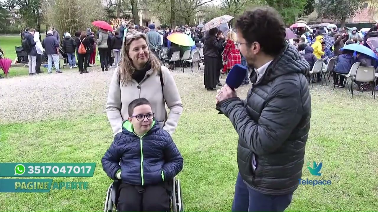 Kaki tree a Sommacampagna