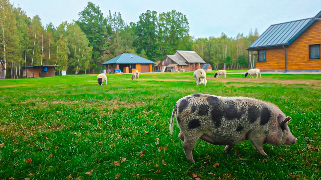 The happy life of a self-sufficient couple with animals in a remote village, far from civilization