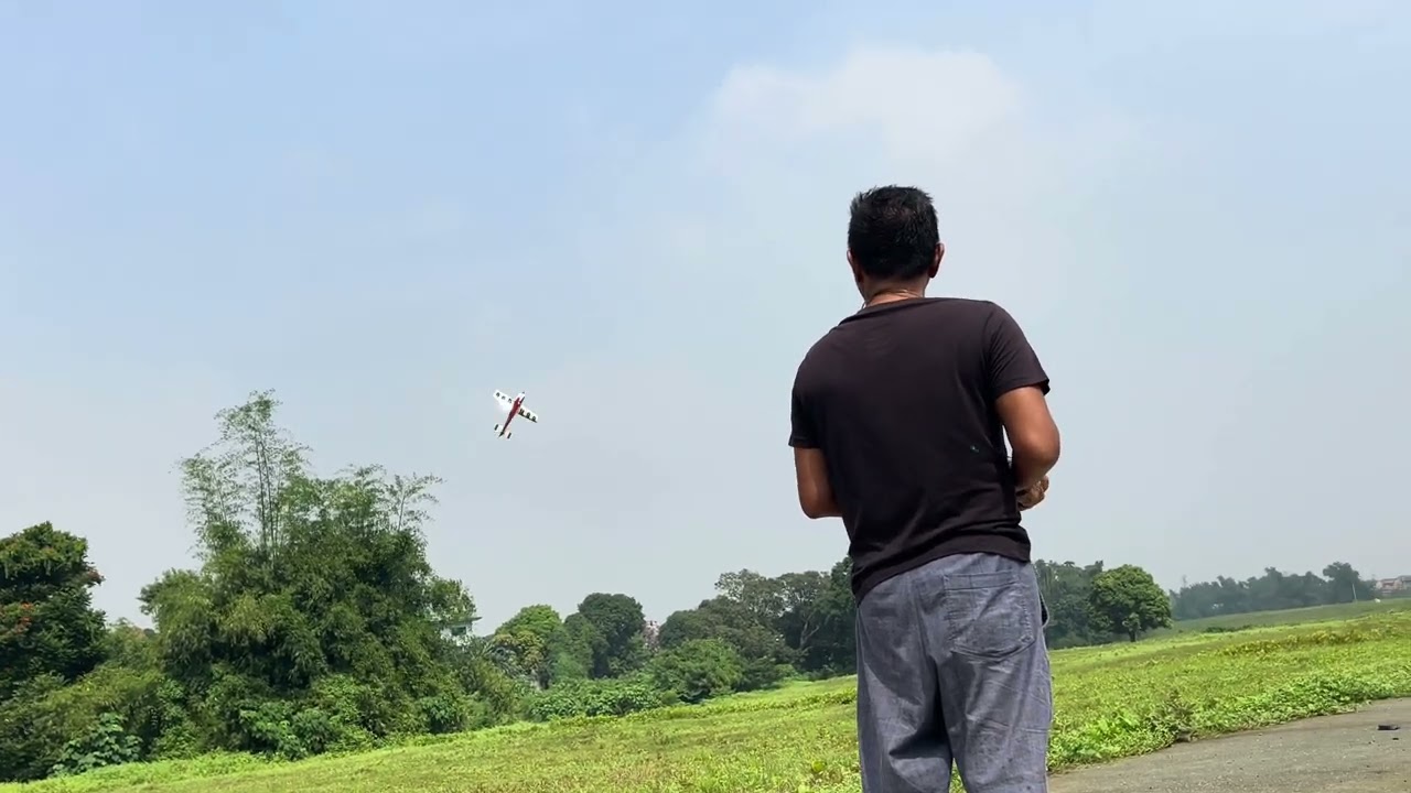 Skywing Slick 73" Dualsky Motor KST Servo 12s Maniax