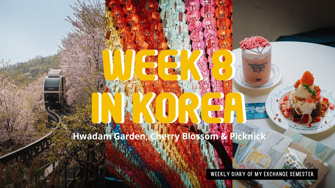 Week 8 in Korea: Cherry Blossoms, Hwadam Garden & Cozy Easter Picnic Vlog 🇰🇷 || It's me Nessy