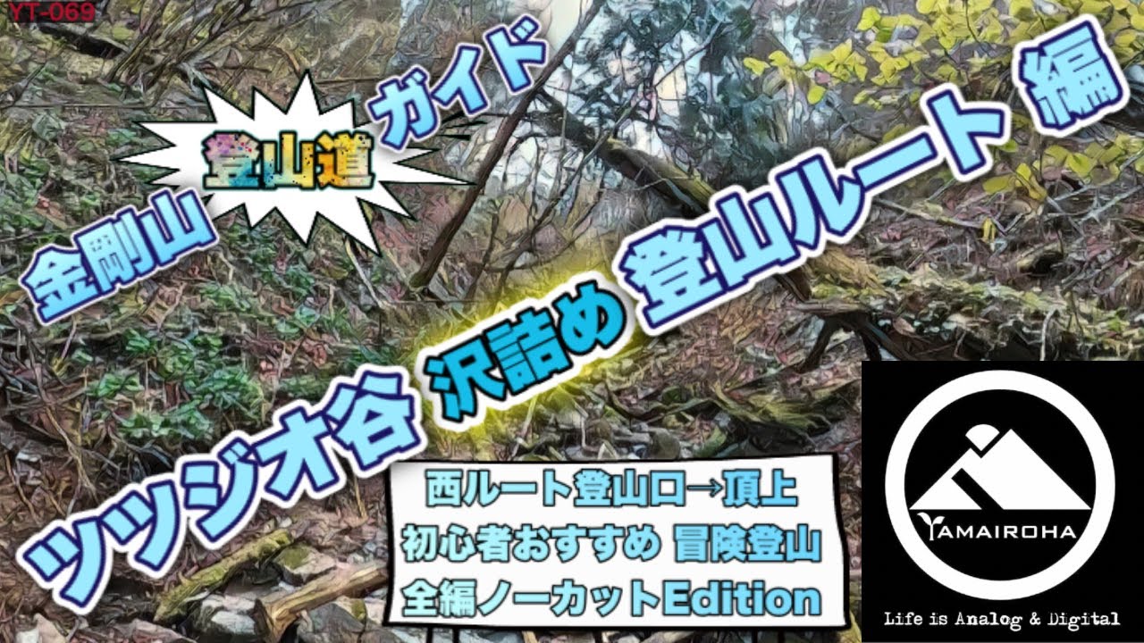 ［ツツジオ谷〝沢詰め〟登山ルート］金剛山登山道ガイド↗️初心者におすすめ人気の冒険登山！ YT-069
