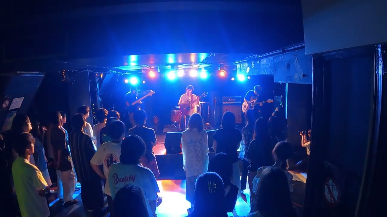 Hammer Head Shark (copy) 中央大学ルナハワイアン