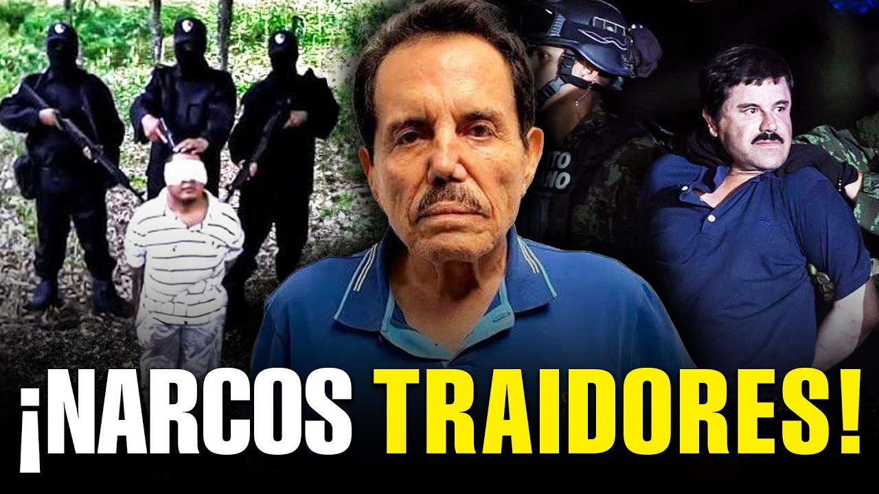 Los 4 PEORES TRAIDORES del Mundo NARCO que REVELARON TODO para CAPTURAR a sus JEFES