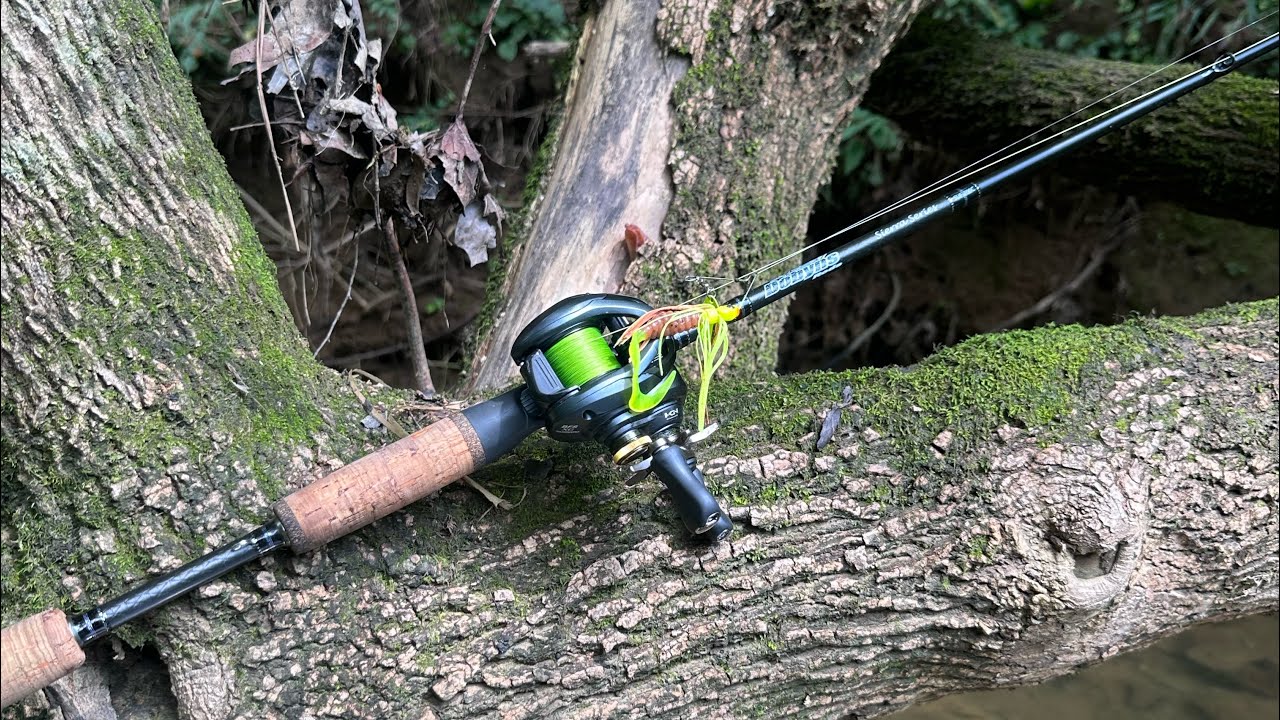Dobyns Sierra Ultra Finesse/ Shimano Curado BFS Rod and Reel Review