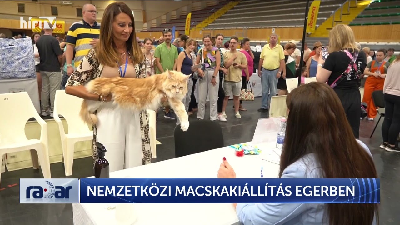 RADAR - NEMZETKÖZI MACSKAKIÁLLÍTÁS EGERBEN - HÍR TV