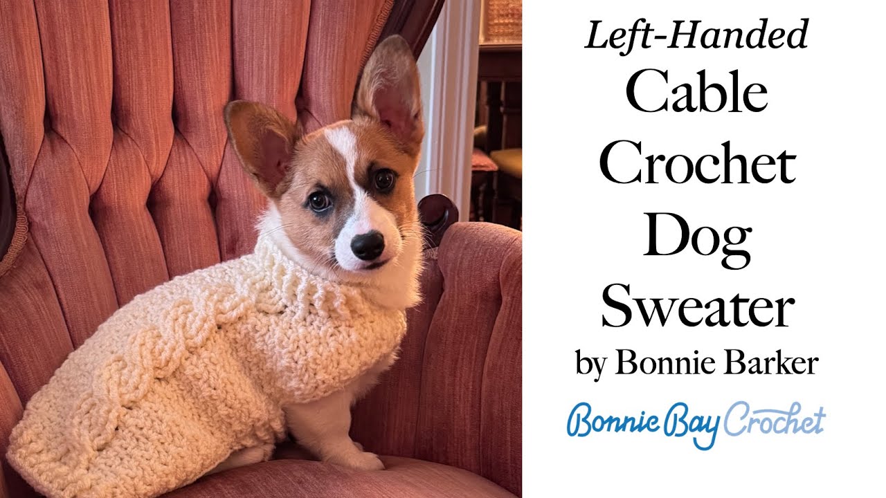 Left Handed Version: Cable Crochet Dog Sweater