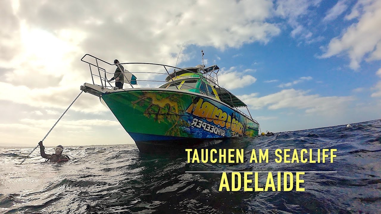 Tauchen vor Adelaide  (Australien)