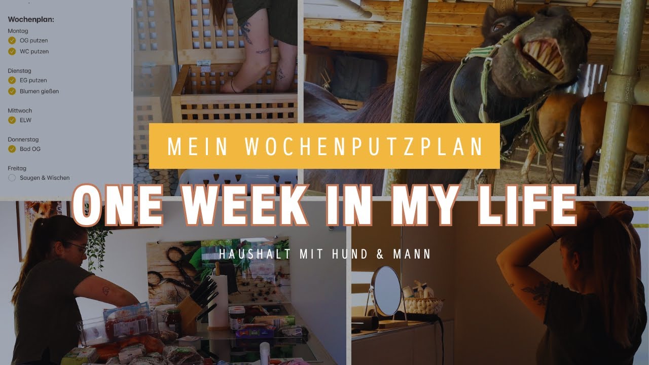 VLOG | One Week in my Life - Mein realistischer Wochenputzplan | clean with me deutsch