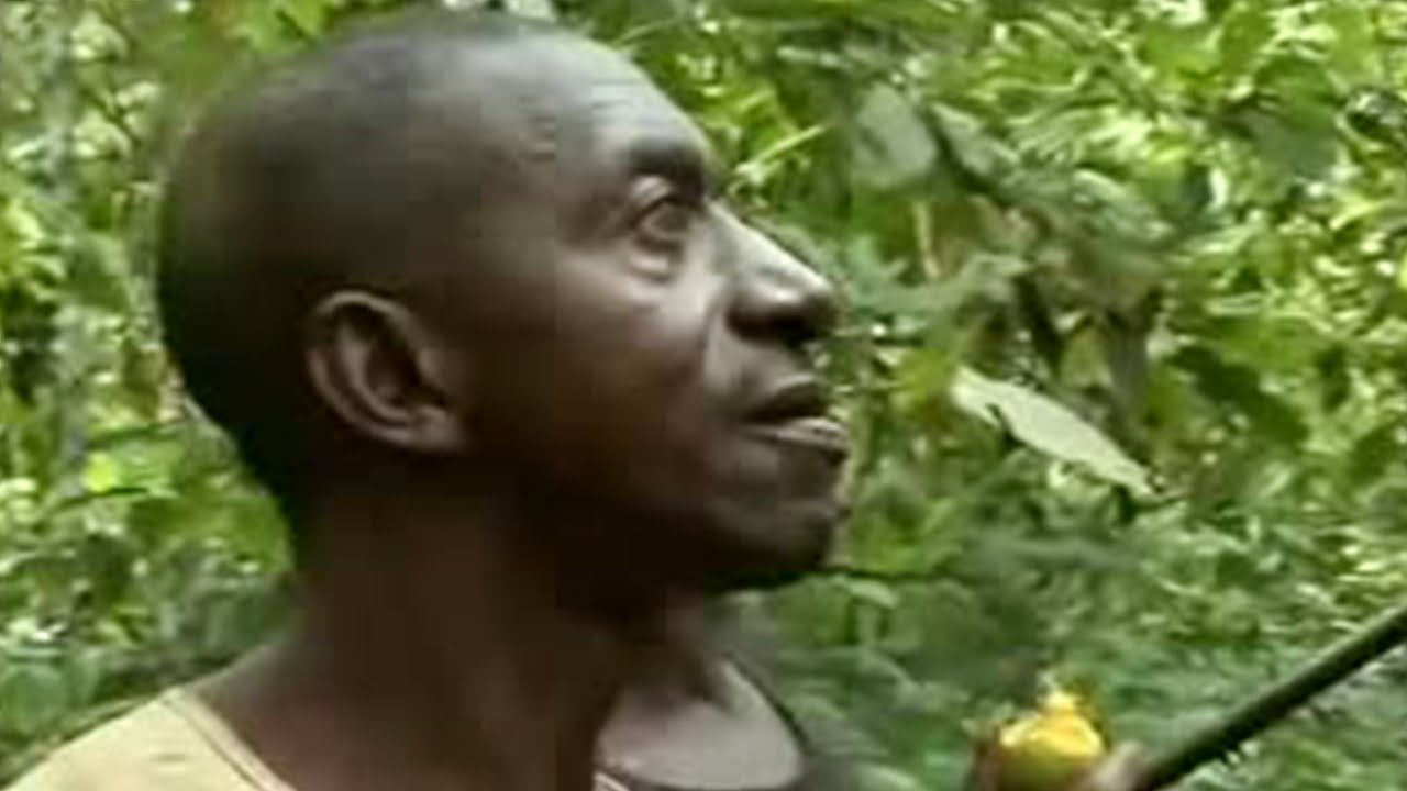 Eating Bush Meat in Cameroon | BBC Studios