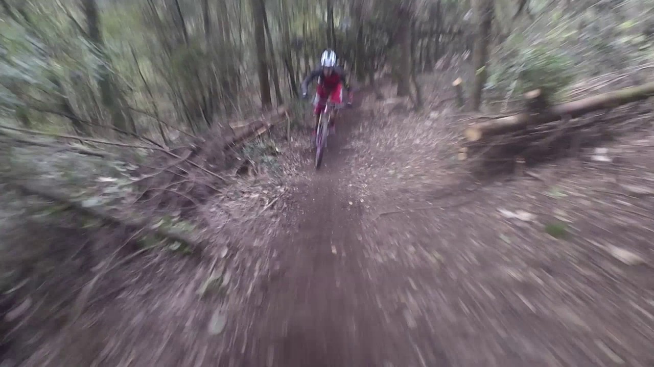 Trail RollerCoaster