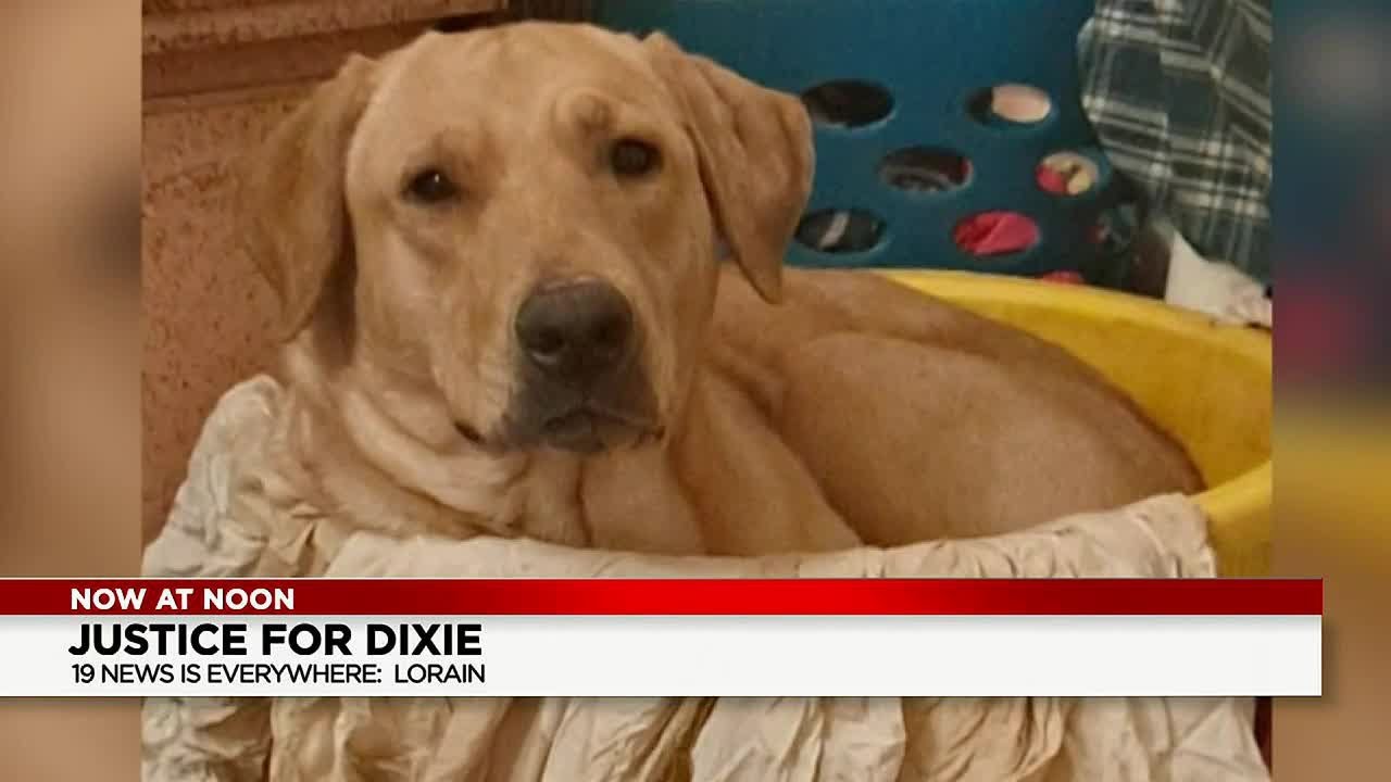 Community calls for charges against Lorain officer who fatally shot dog