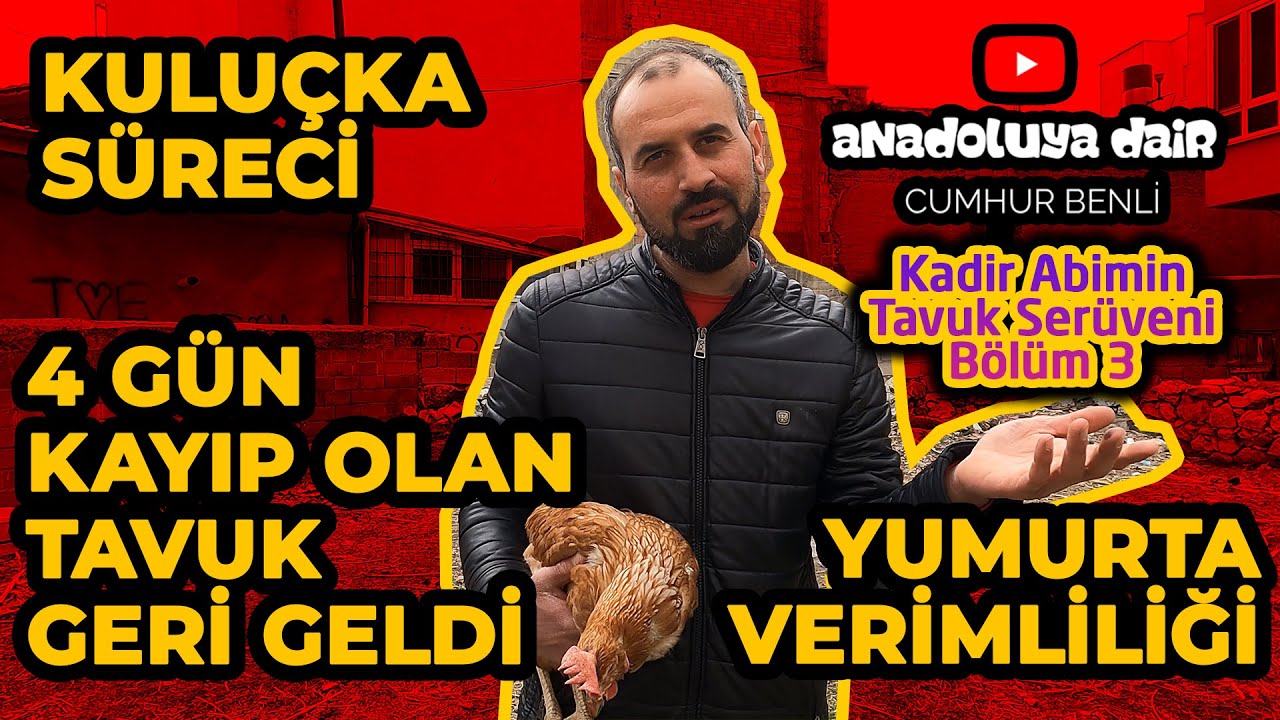 TAVUK ÜZERİNE SOHBETLER SERİSİNİN 3. BÖLÜMÜN'DEN :)