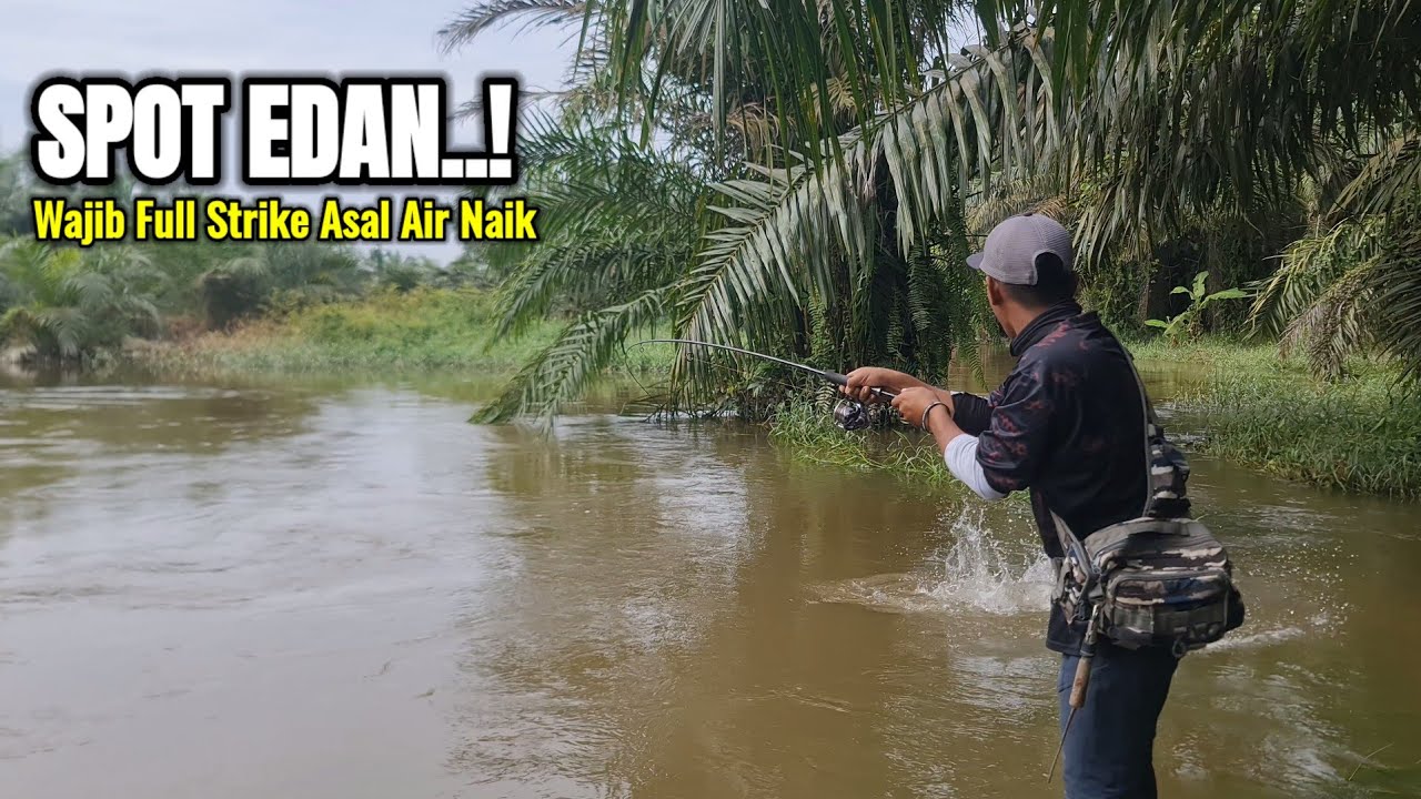 WALAU BANJIR SEDANG FULL TAPI TETAP FULL SAMBARAN IKAN PREDATOR GANAS