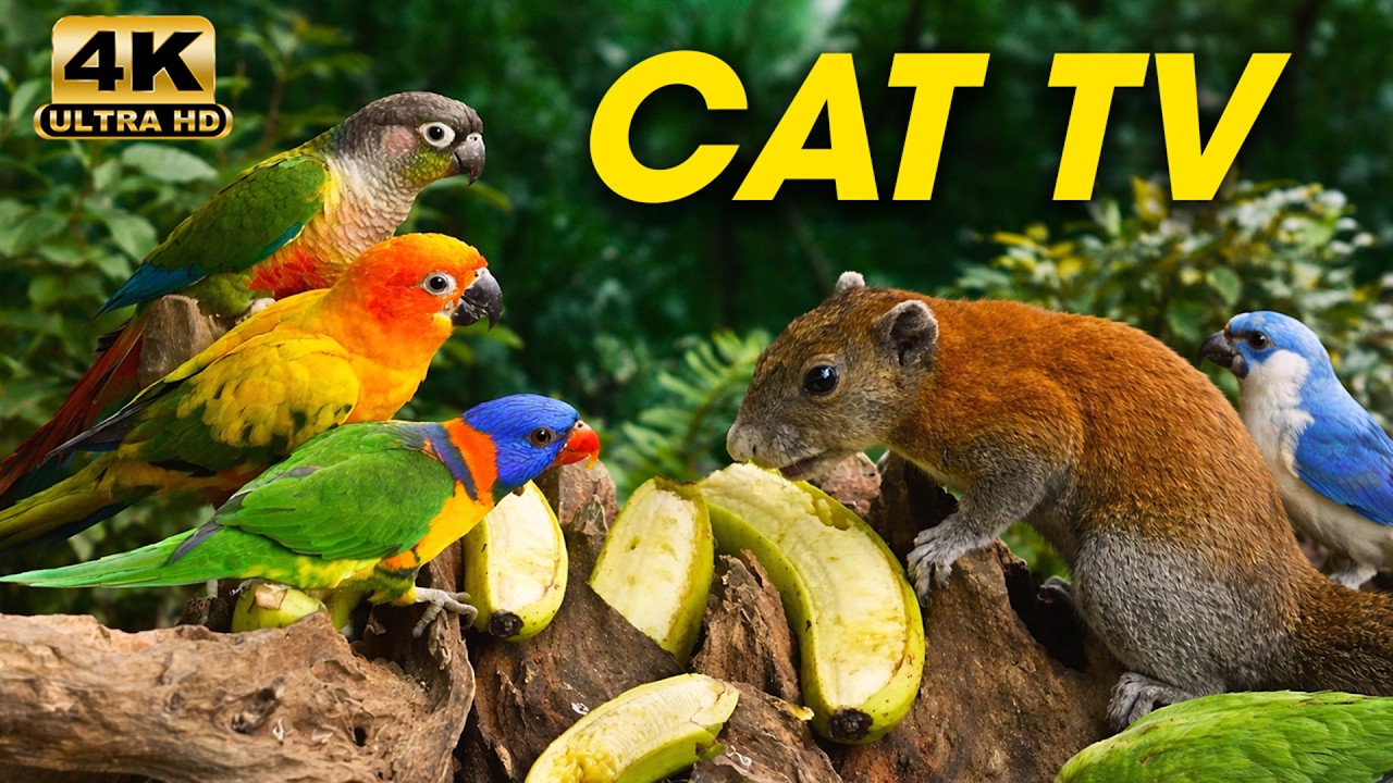 3 Hours of Relaxing Garden Wildlife 🌿🐦🐿️ on Cat TV for Cats to Watch