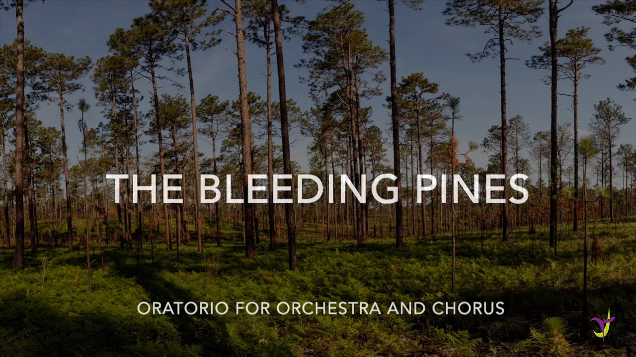David Ludwig: The Bleeding Pines - Interview & Excerpts