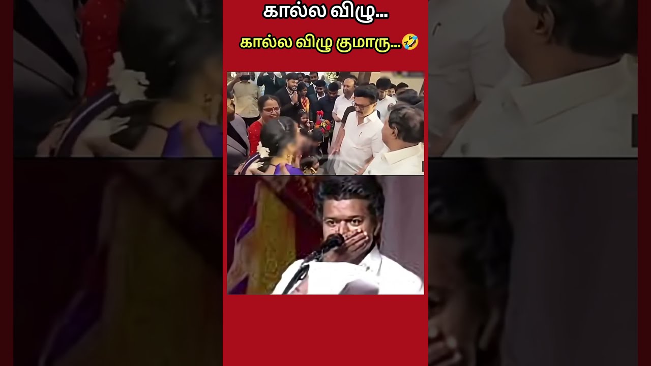 இப்படி மாட்டிகிட்டீயே குமாரு.! #thalapathyvijay #tngovt #tnpolitics #breakingnews #tvkvijay #tvk