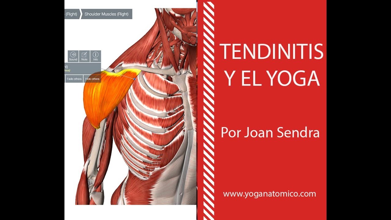 TENDINITIS Y EL YOGA