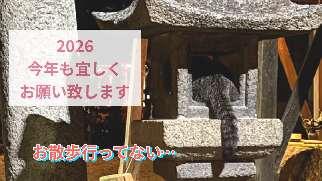 雨の日も風の日も…半年間、とある神社に通っています① 2026年、どんな年になるのかな〜。