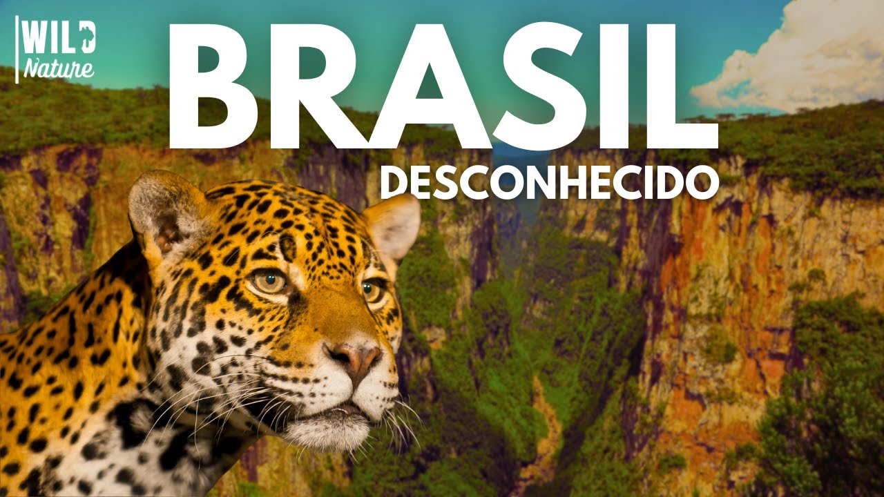 O BRASIL COMO VOCÊ NUNCA VIU | Documentário Completo