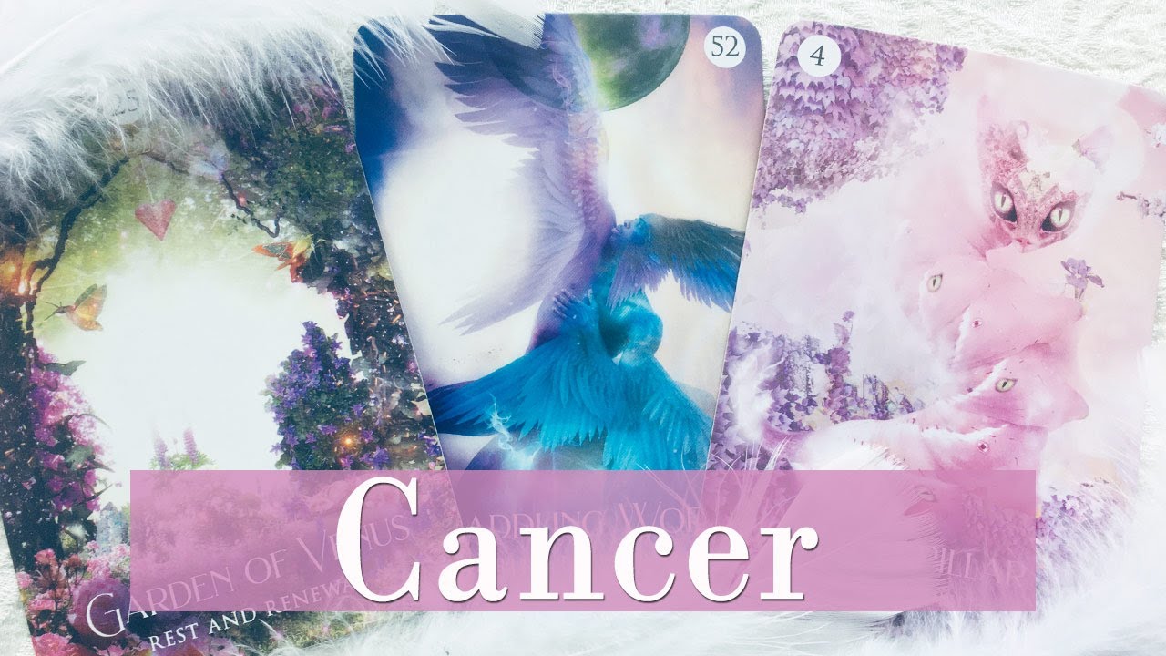 CANCER - They're chasing after you before you start something new