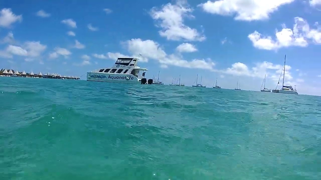 Diving New Caledonia