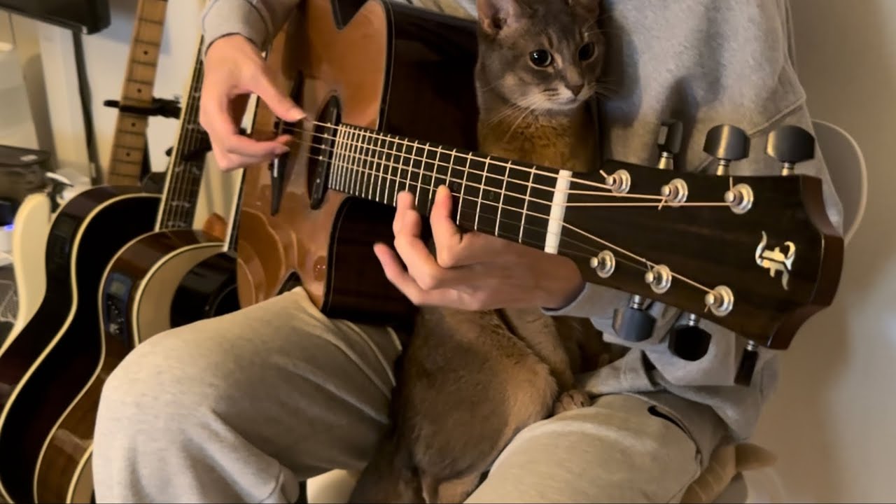 (Sungha Jung) Gravity