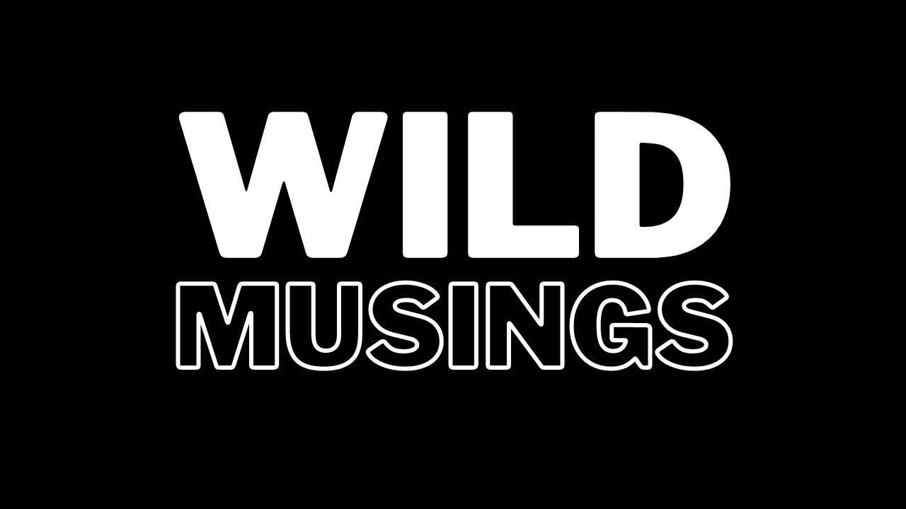 Wild Musings | The Extinction of Experience