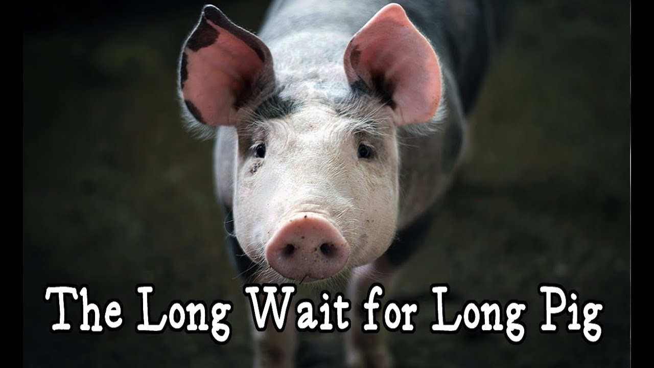 The Long Wait for Long Pig - evilblackbunny