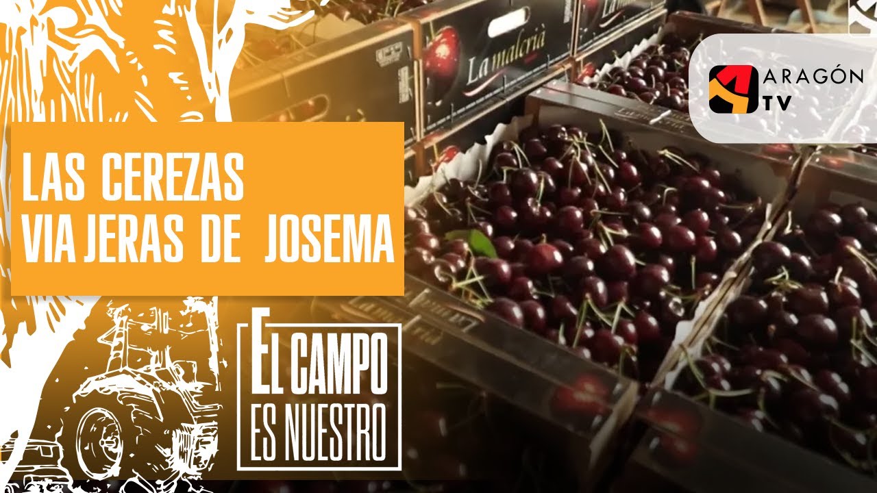 Las cerezas viajeras de Josema