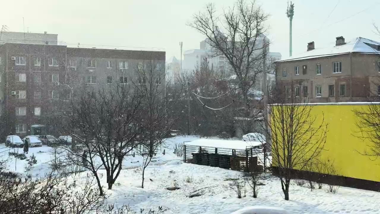 Снег падает, мысли выключаются  // Gentle Snowfall Outside the Window | Winter Ambience