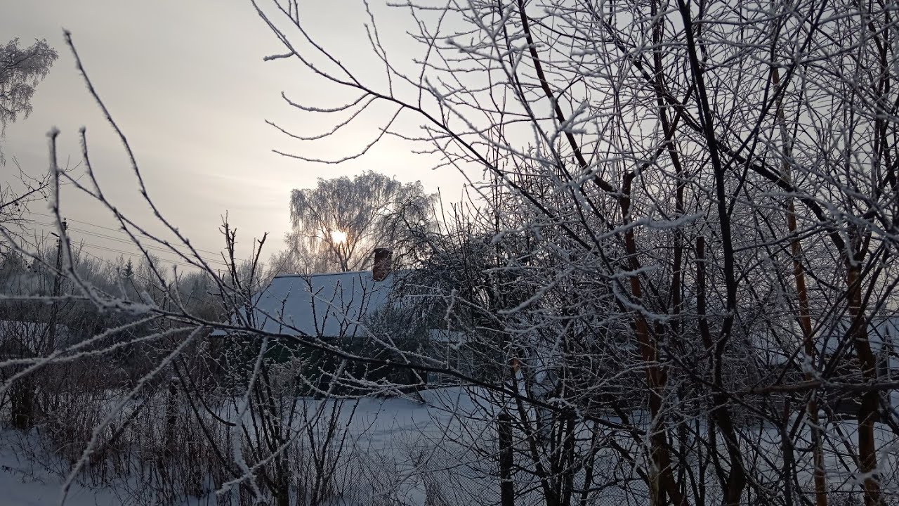 🙂🏕️❄️❄️БЕЛАРУСЬ. НУ, Очень холодный день.Такой холодный что все деревья Белые!)) Видзы 