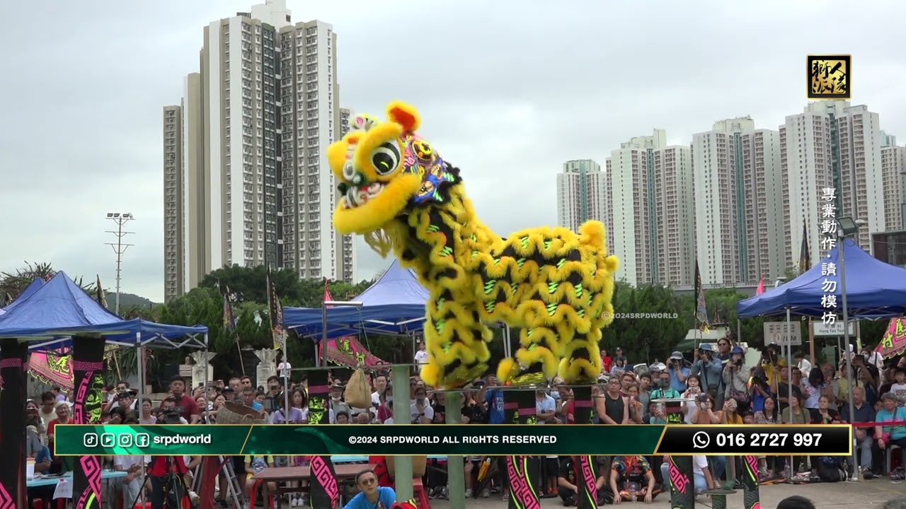 【HK Lion Dance】2024_中華文化盃醒獅高椿賽_坑尾村 // 馬來西亞甲洞弘德體育會龍獅團 Kepong Hong Teck