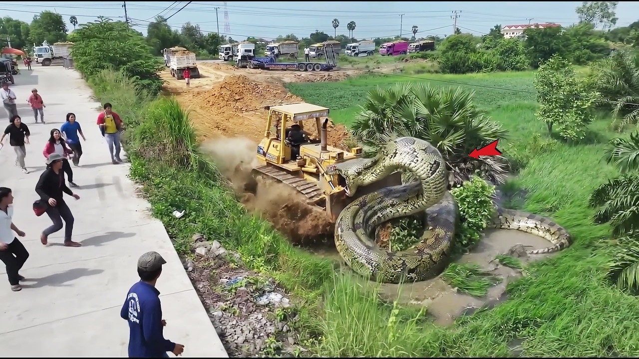 UNBELIEVABLE LAND RECLAMATION!! Dump Trucks Filling Pond Under Dangerous Conditions! | MACHINES TV
