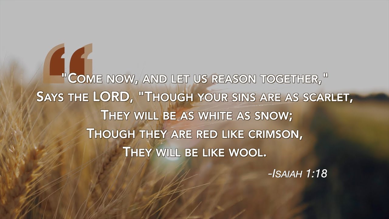 The Scarlet Cord - Jacob Prasch