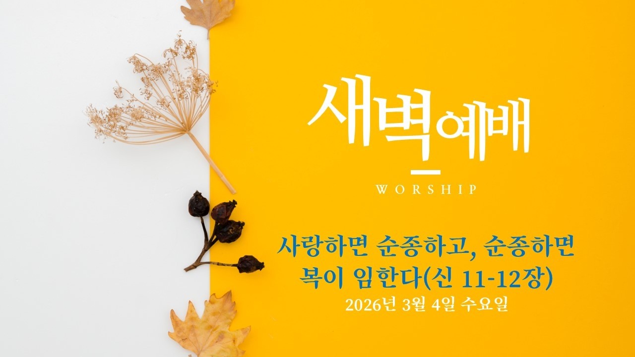 20250304 새벽 
