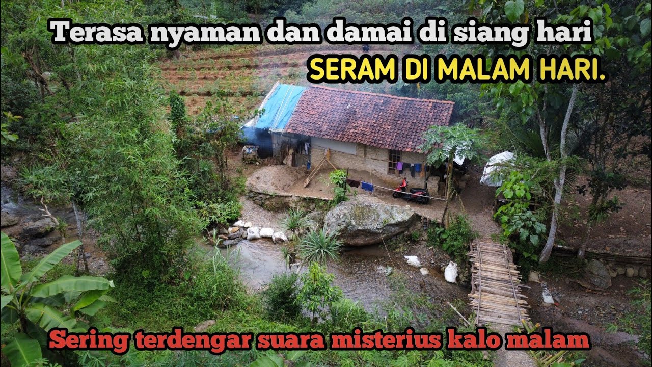 Pengen Hidup Tenang‼ Memilih Tinggal Sendirian Di Tengah Hutan,  Kehidupan Di Pedesaan.