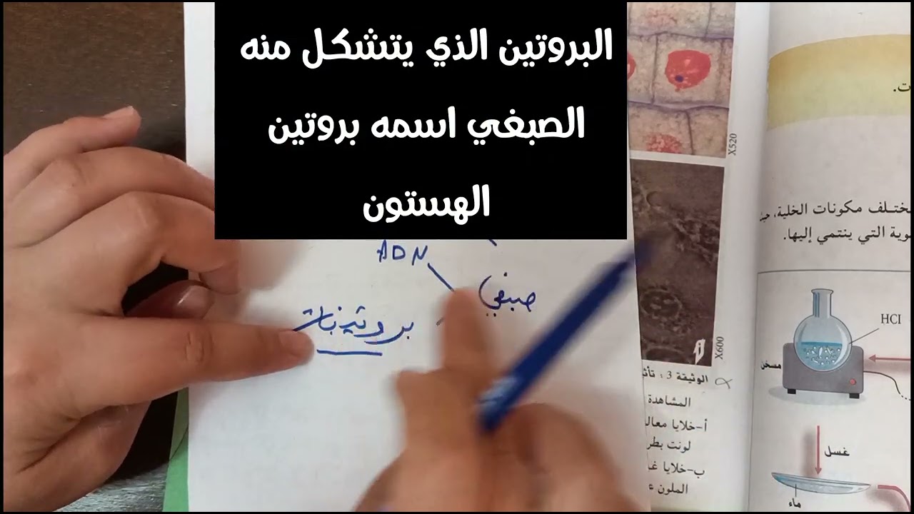 وحدة مكونات الدعامة الوراثية⁦✍️⁩شرح رائع