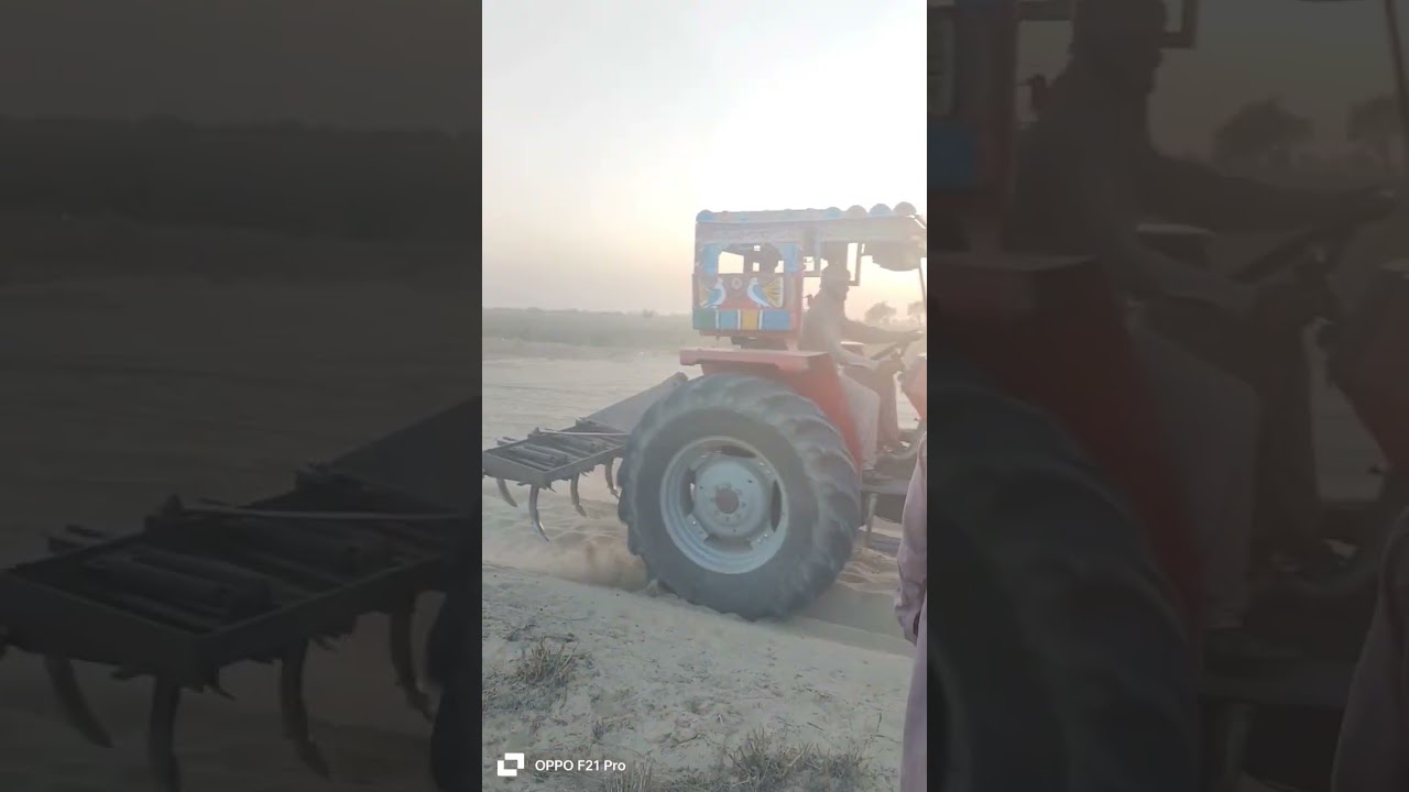 #farming #mf385 #agriculture #385 #boharibrothers #ghazitractor #arsalfarm