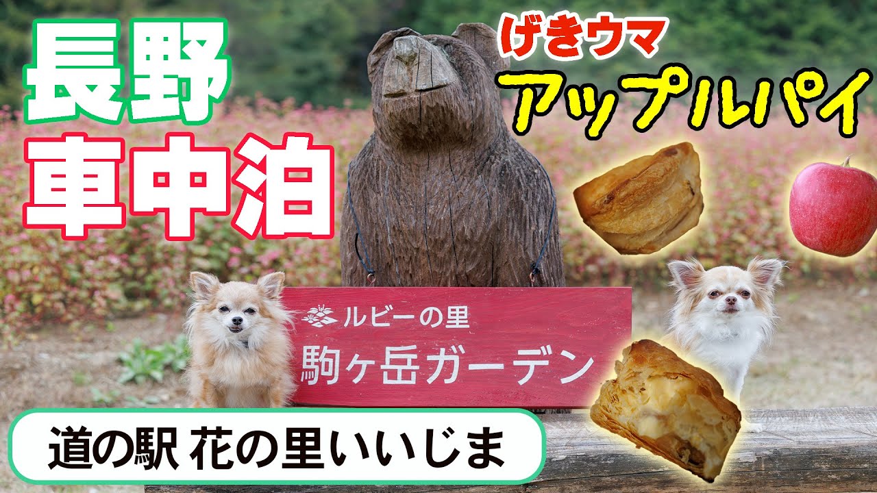 【長野・車中泊】アップルパイに感動！信州りんごをたっぷり使ったとろっとろカスタードの焼き立てアップルパイ！【道の駅花の里いいじま／アップルパイ・ラボ】