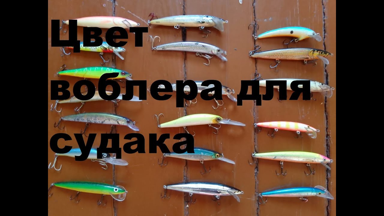Цвет воблера для верхового судака