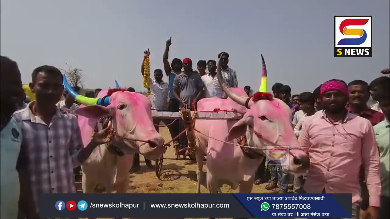 मुरगुड मधील बैलगाडी  शर्यतीत ”बुलेट छब्या-सायलेंट” वश्या प्रथम
