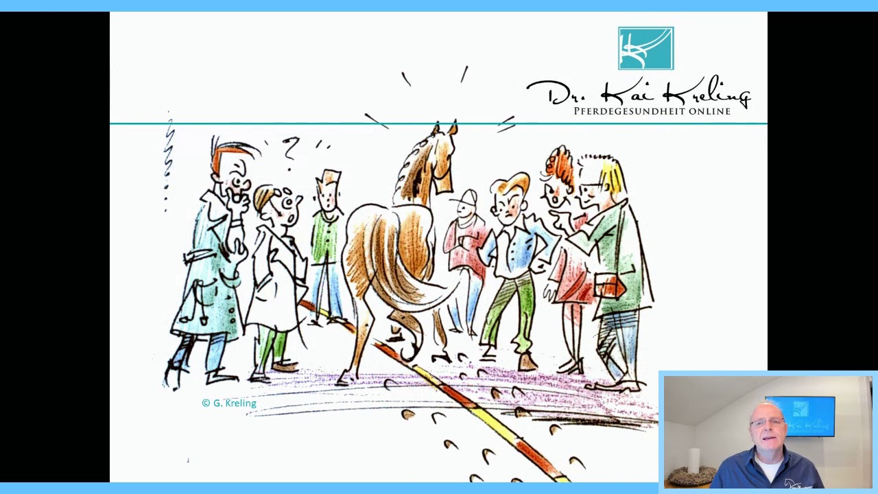 Arthrose beim Pferd.