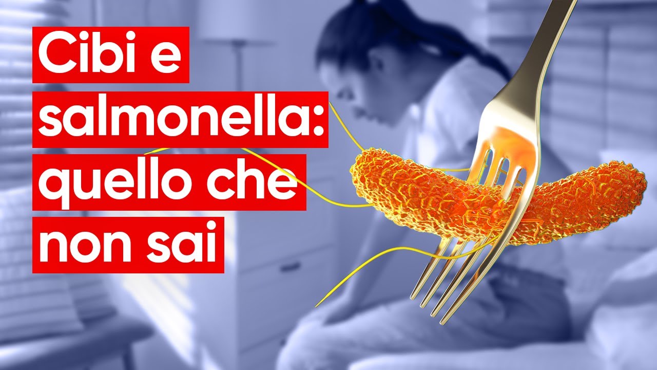 Salmonella: come si prende, sintomi e prevenzione