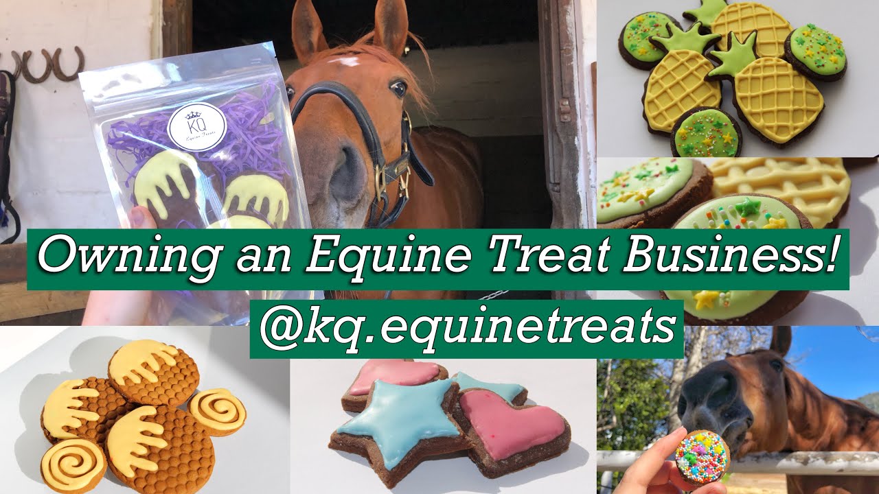 Owning a small business || Equine treats!