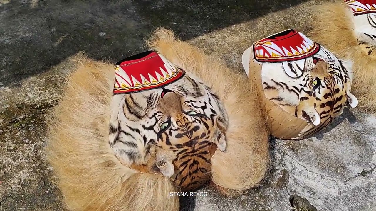 BARONG REOG PONOROGO BARU JADI | istana reog ponorogo