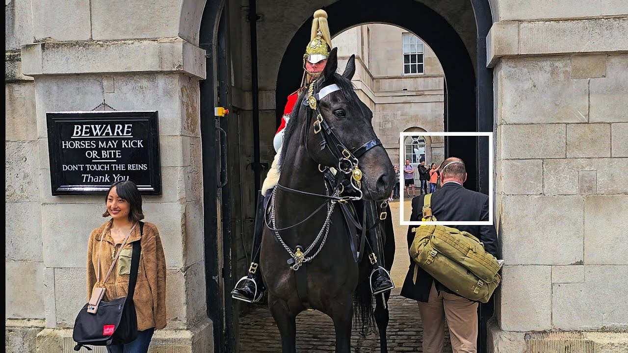 RUDE IDIOT TOURIST SHOCKS GUARD and an UPDATE ON THE INJURED HCAV HORSES at Horse Guards!