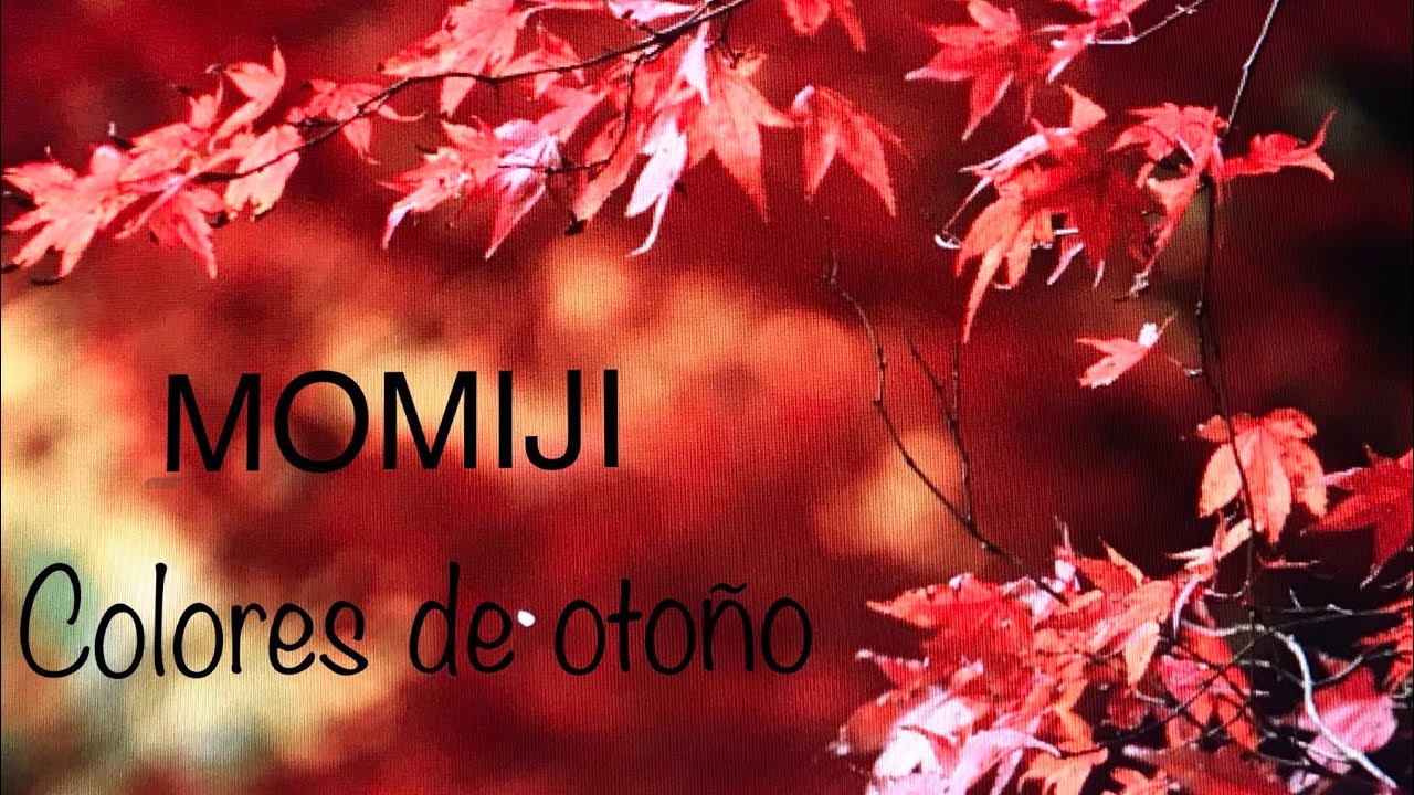 Oto&ntilde;ada de arces japoneses