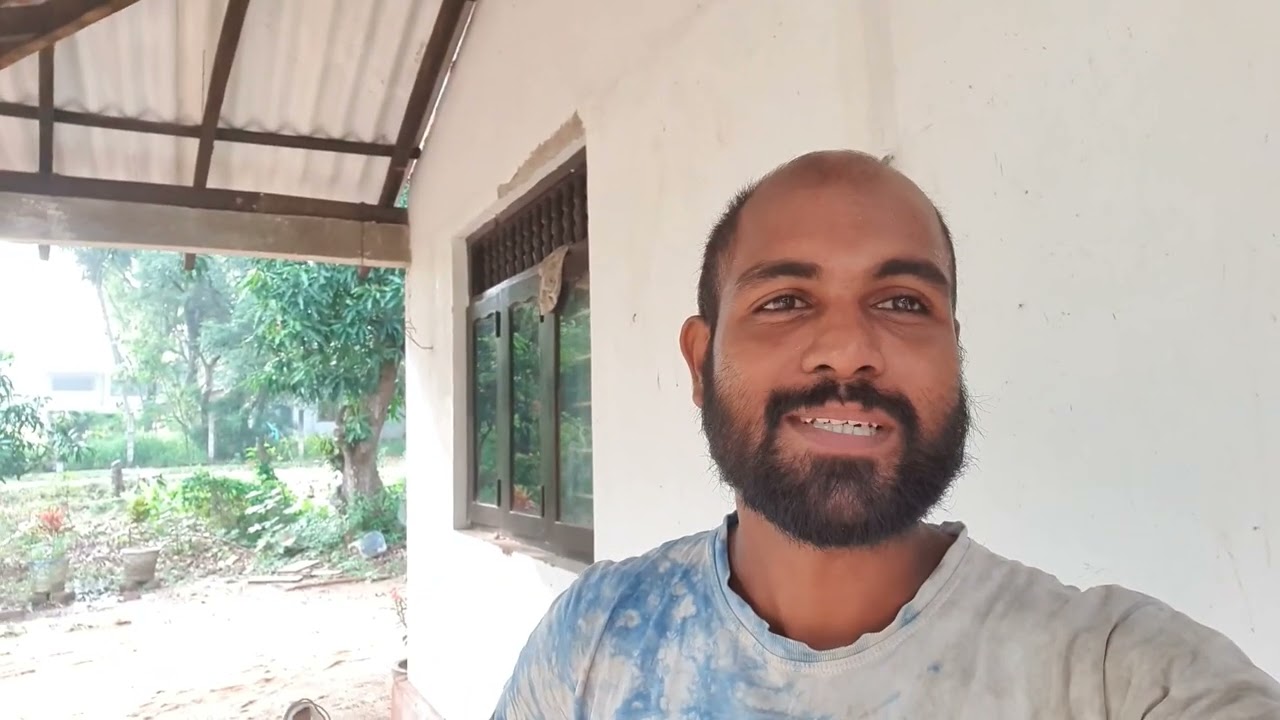 පළමු පොහොර යෙදීම🌾