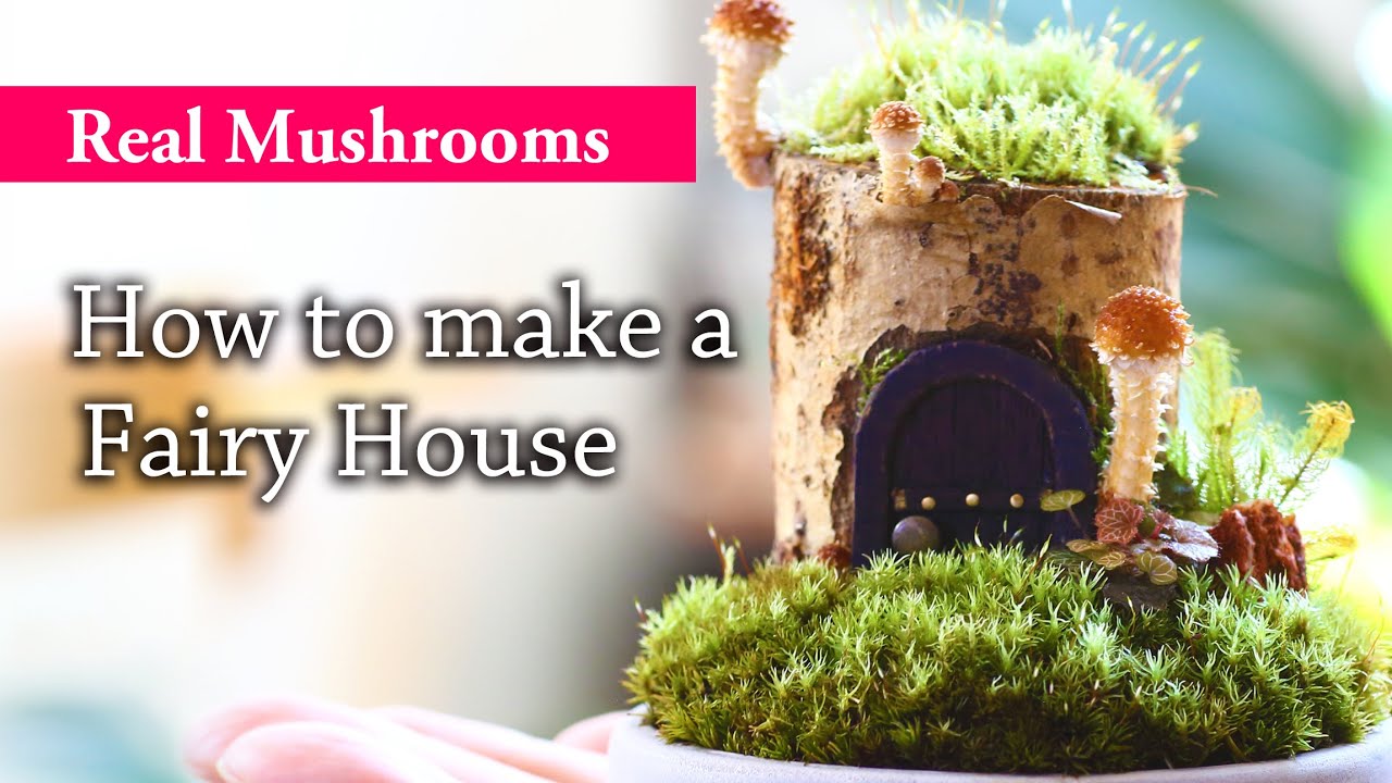 All Real! Mushroom Diorama [Fairy House]