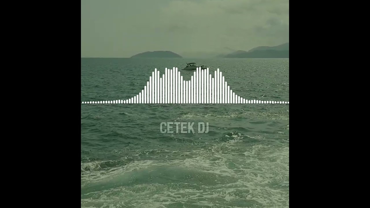 Cetek - Track ID